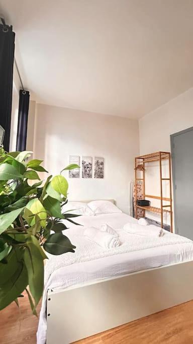 Le Cocon Lejlighed Montauban Eksteriør billede